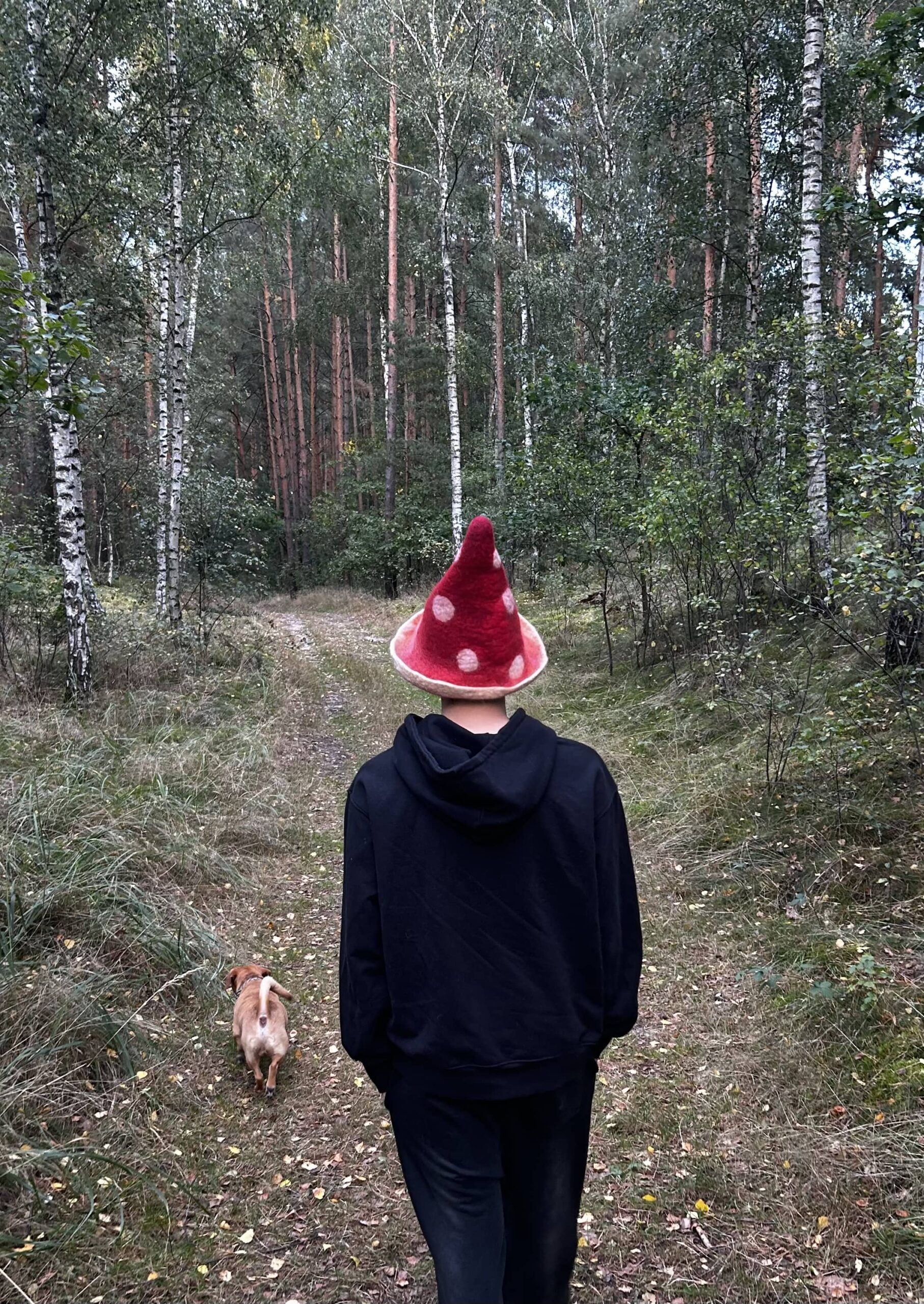 Muchomor bez blaszek - obrazek 3