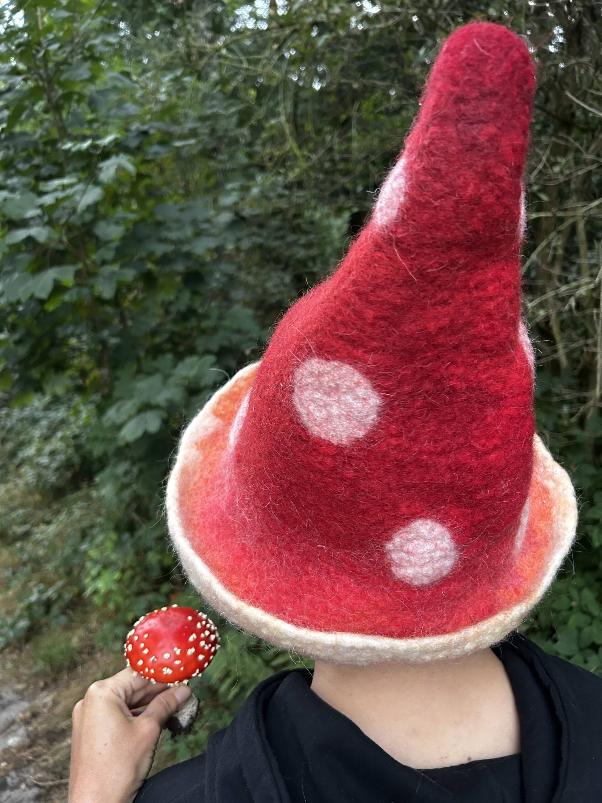 Muchomor bez blaszek